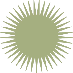 Sun | HabitatM